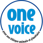 One Voice